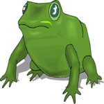 Frog 36