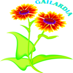 Gailardia