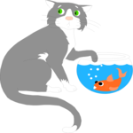 Cat & Goldfish