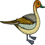 Duck 39