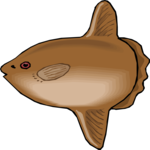 Sunfish 2