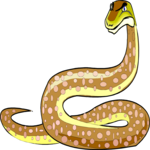 Snake - Python Clip Art