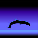Dolphin - Graphic 2