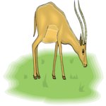Antelope 11 Clip Art
