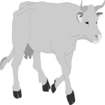 Cow 08