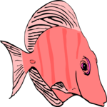 Fish 046