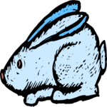 Rabbit 40