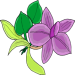 Flower 376 Clip Art