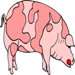 Pig 15 Clip Art