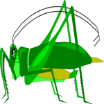 Grasshopper 08
