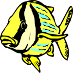Fish 056