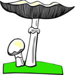 Mushrooms 03 Clip Art