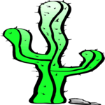 Cactus 23