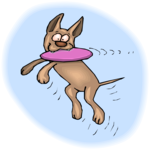 Dog Catching Flying Disc