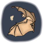 Bat Chasing Moth