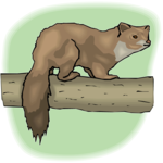 Marmot 2 Clip Art