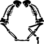 Skeleton Q
