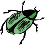 Beetle 09 Clip Art