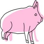 Pig 34