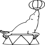 Seal Balancing Ball 1