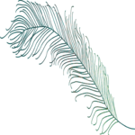 Feather 6 Clip Art