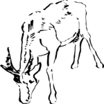 Antelope 13 Clip Art