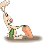 Rabbit with Carrot 6