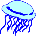 Jellyfish 05