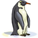 Penguin 13