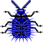 Beetle 17 Clip Art