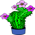 Cactus with Flower 6 Clip Art