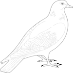 Pigeon 01 Clip Art
