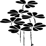 Flowers - Silhouette 3 Clip Art