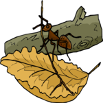Ant on Branch Clip Art
