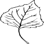 Leaf 036 Clip Art