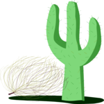 Cactus & Tumbleweed