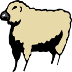 Sheep 04