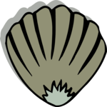Sea Shell 16
