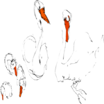 Swan Sketch Family