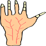 Hand 4 Clip Art