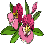 Flower 459 Clip Art