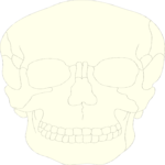 Skull 07