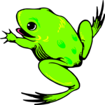 Frog 13 Clip Art