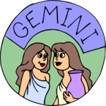 Gemini 16