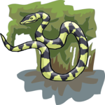 Snake 12 Clip Art