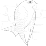 Sparrow 02 Clip Art