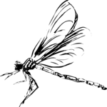 Dragonfly 2