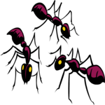 Ants 1 Clip Art