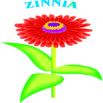 Zinnia Clip Art