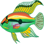 Cichlid - Dwarf 2 Clip Art